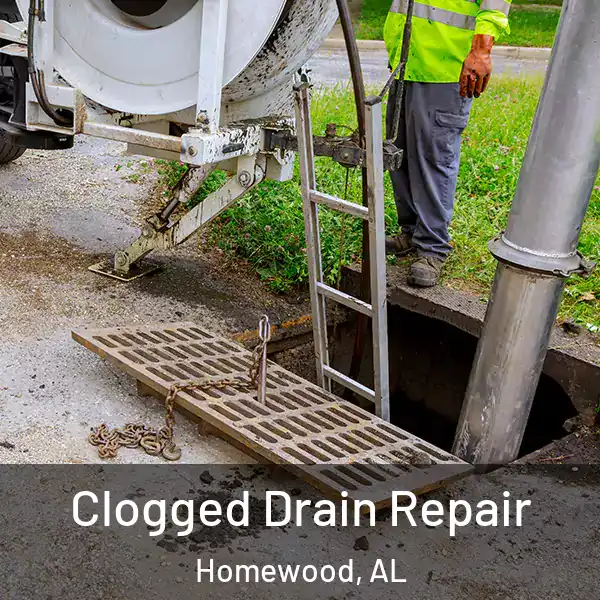  Clogged Drain Repair Homewood, AL
