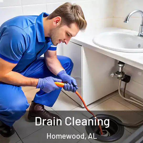  Drain Cleaning Homewood, AL