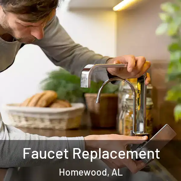  Faucet Replacement Homewood, AL