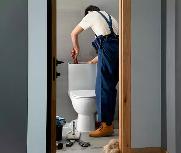 Professional Plumbers for Toilet Bowl Replacement in Homewood, AL: Schedule Affordable Toilet Replacement Services With Us