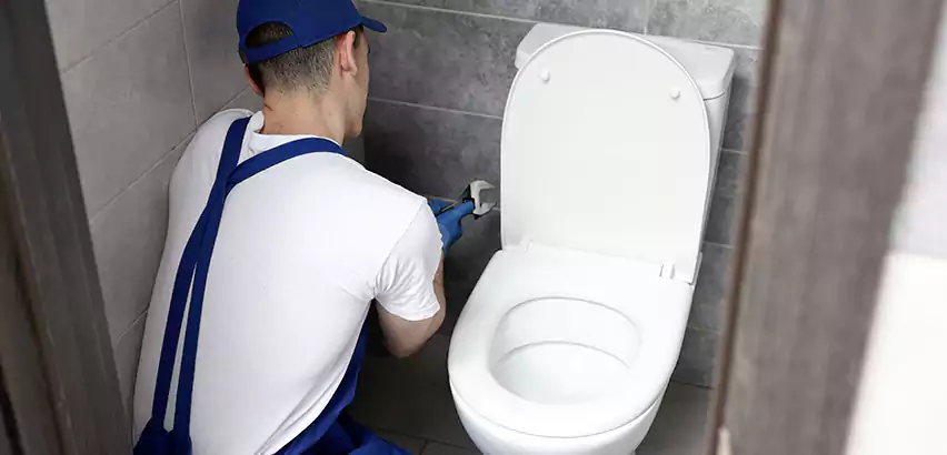 Toilet Lid Replacement in Homewood