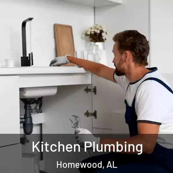  Kitchen Plumbing Homewood, AL