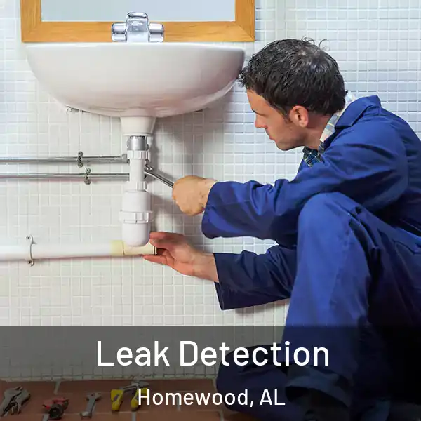  Leak Detection Homewood, AL