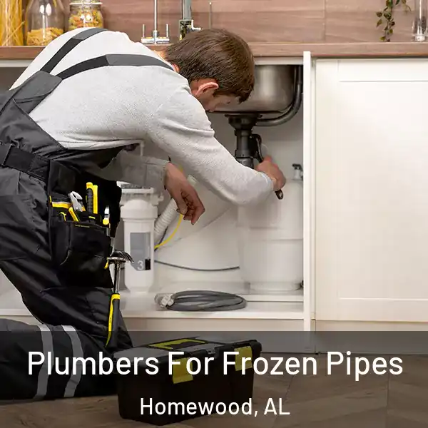  Plumbers For Frozen Pipes Homewood, AL