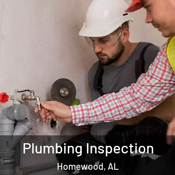  Plumbing Inspection Homewood, AL
