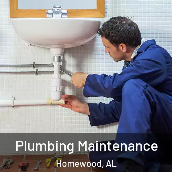  Plumbing Maintenance Homewood, AL