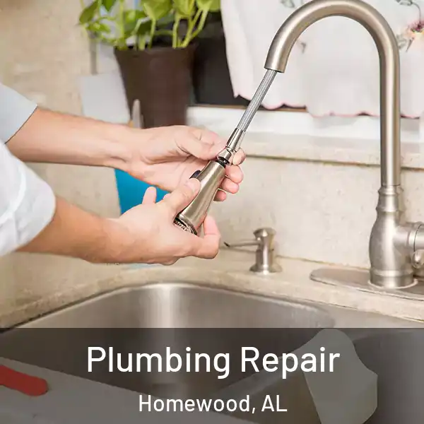  Plumbing Repair Homewood, AL
