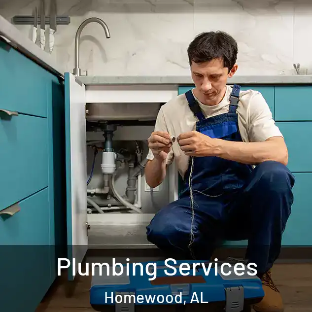  Plumbing Services Homewood, AL