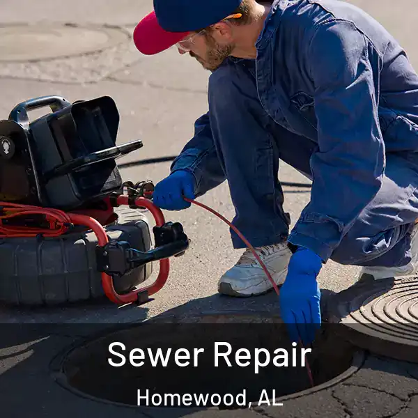  Sewer Repair Homewood, AL