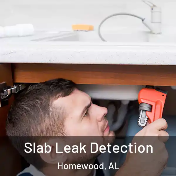  Slab Leak Detection Homewood, AL