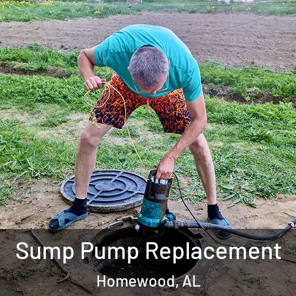  Sump Pump Replacement Homewood, AL