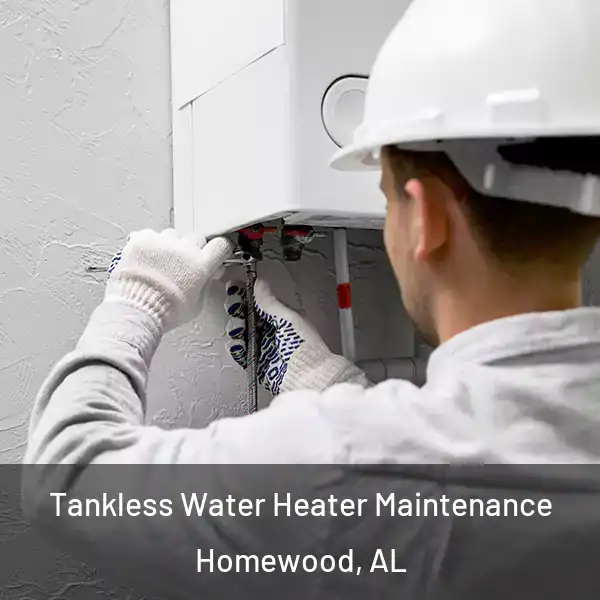  Tankless Water Heater Maintenance Homewood, AL