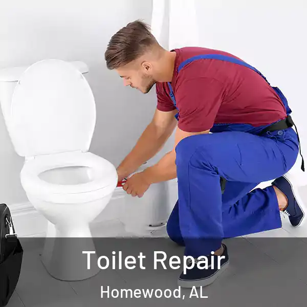  Toilet Repair Homewood, AL