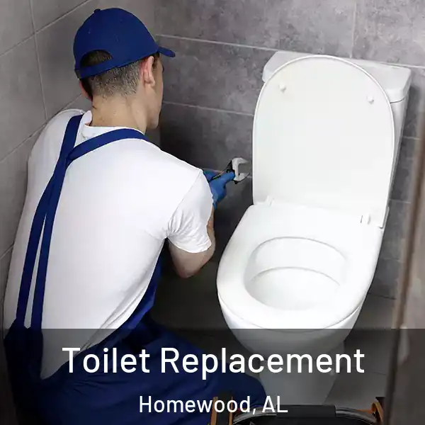  Toilet Replacement Homewood, AL