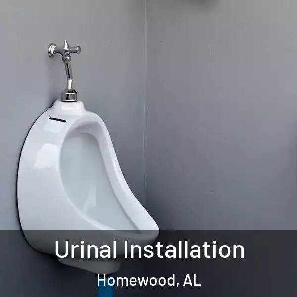  Urinal Installation Homewood, AL