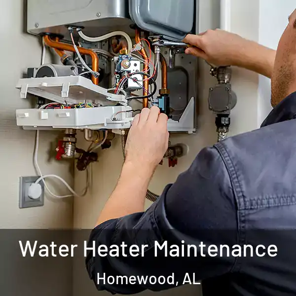  Water Heater Maintenance Homewood, AL